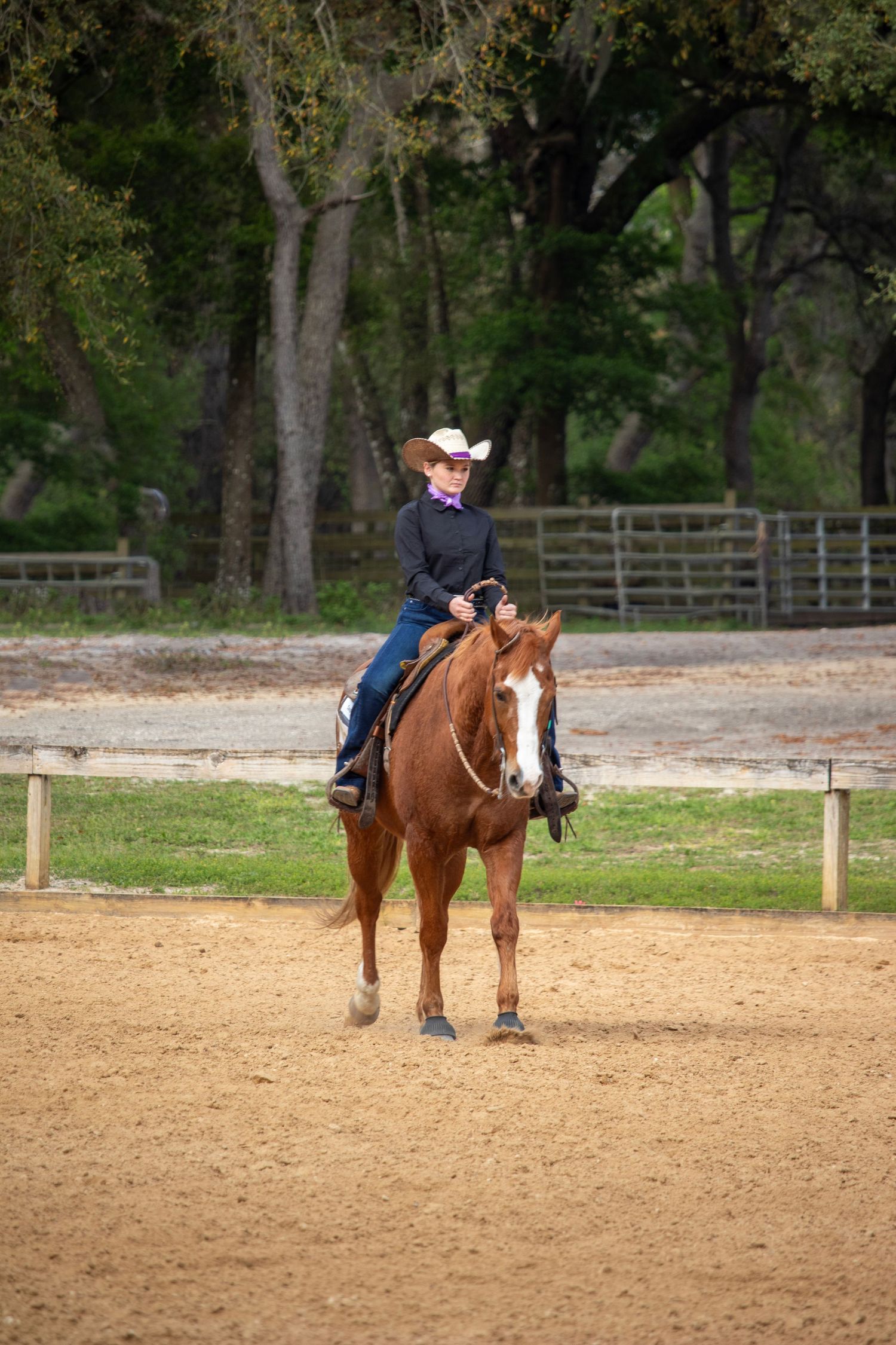 Young girl riding on a horse