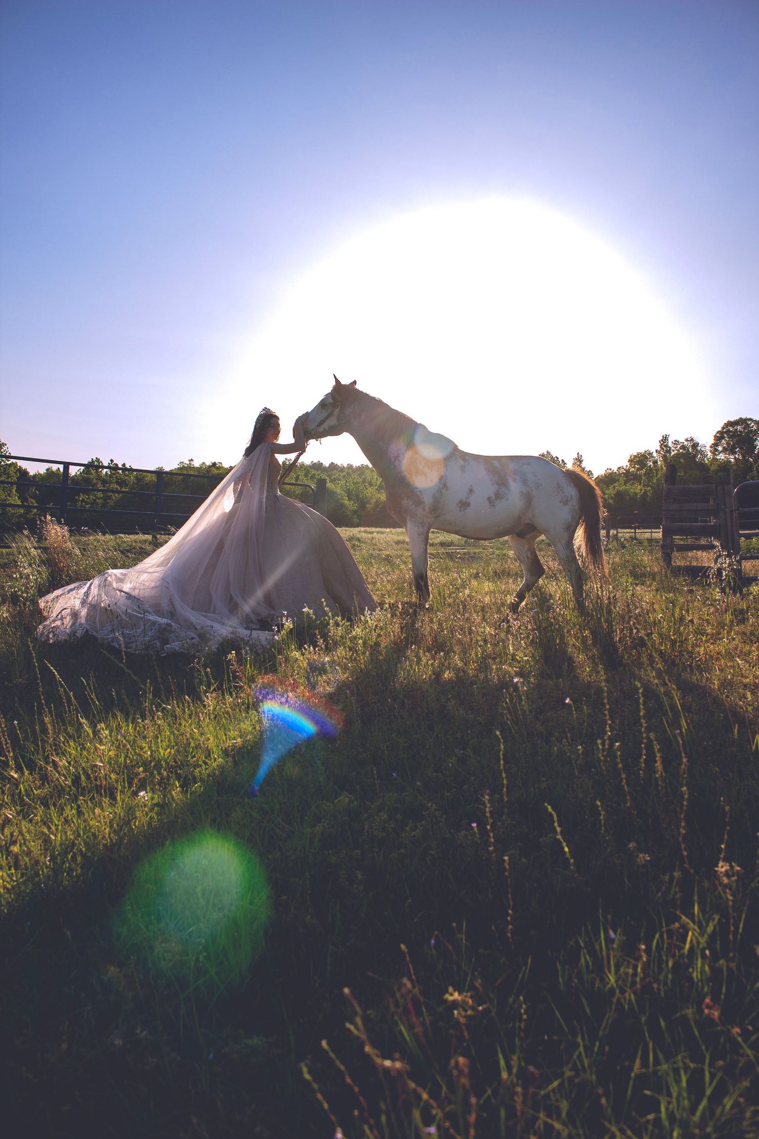 Young girl posing with her horse in the sunset
