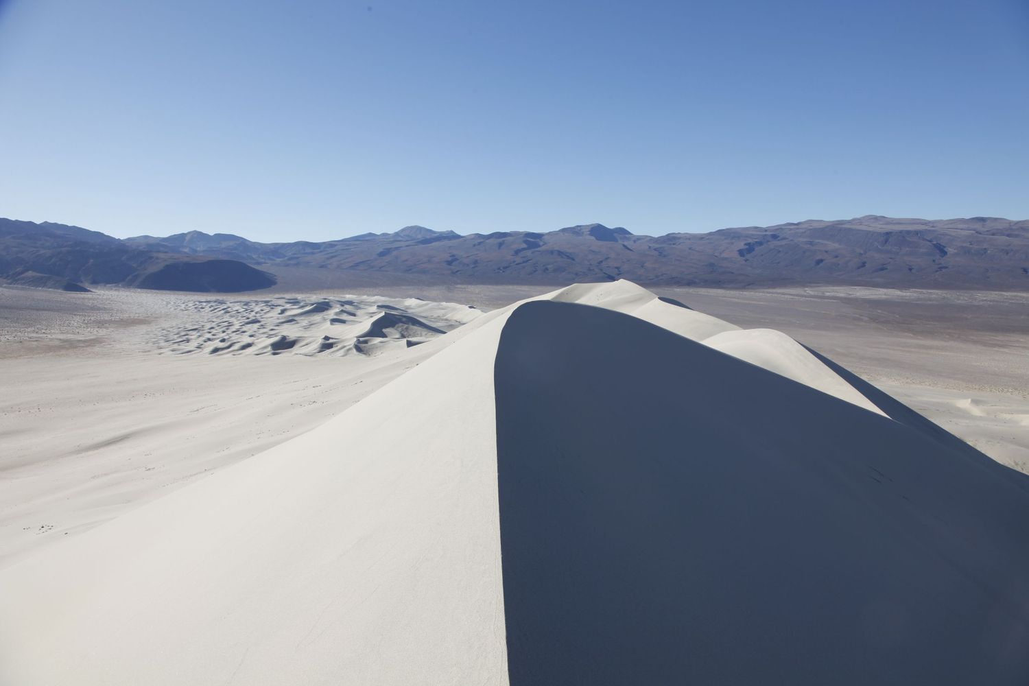 Photo from the highest peak of the Eureka Sand Dunes.