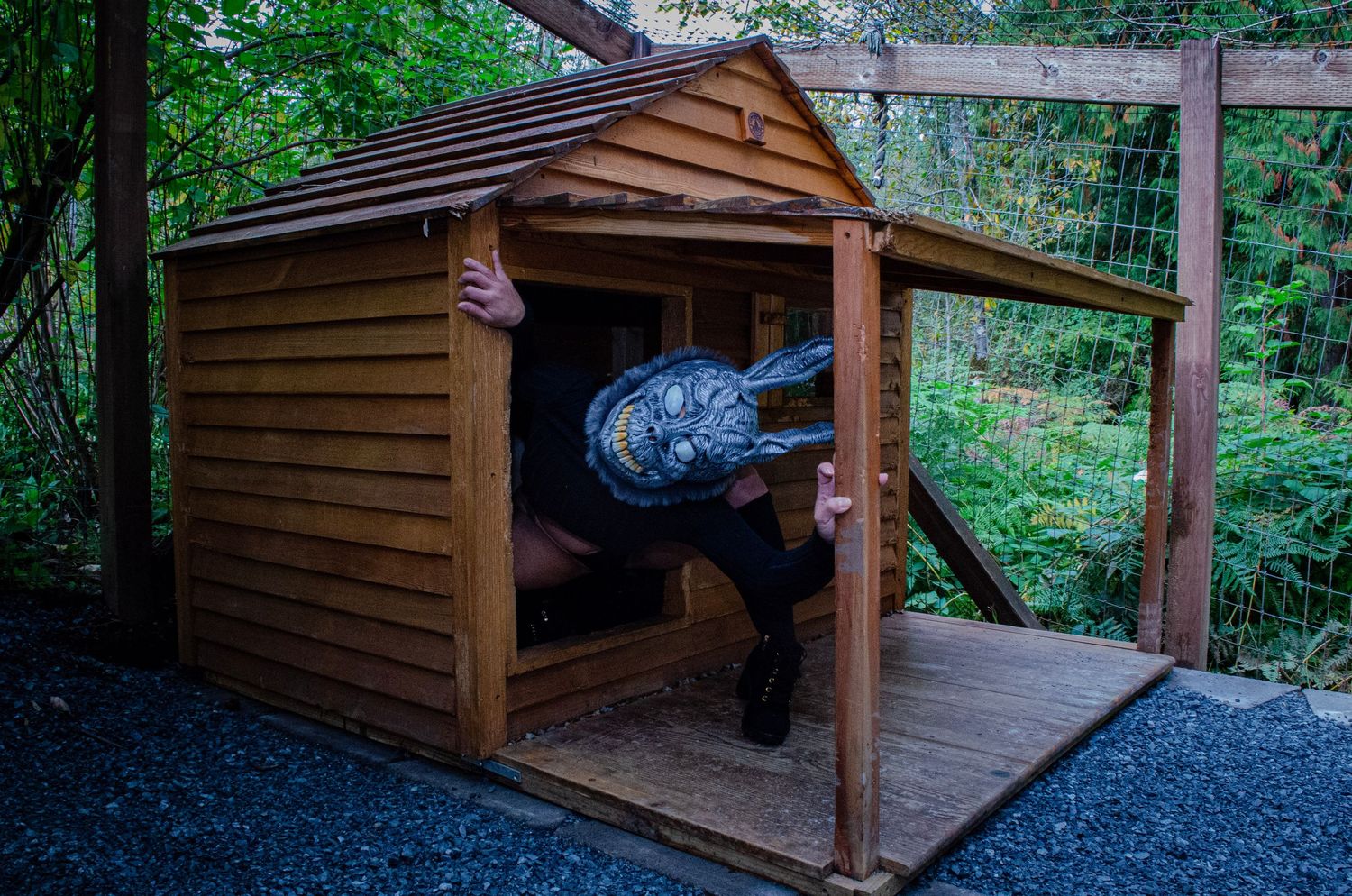 Disturbing the animal house of Donnie Dark in the forest photoshoot.