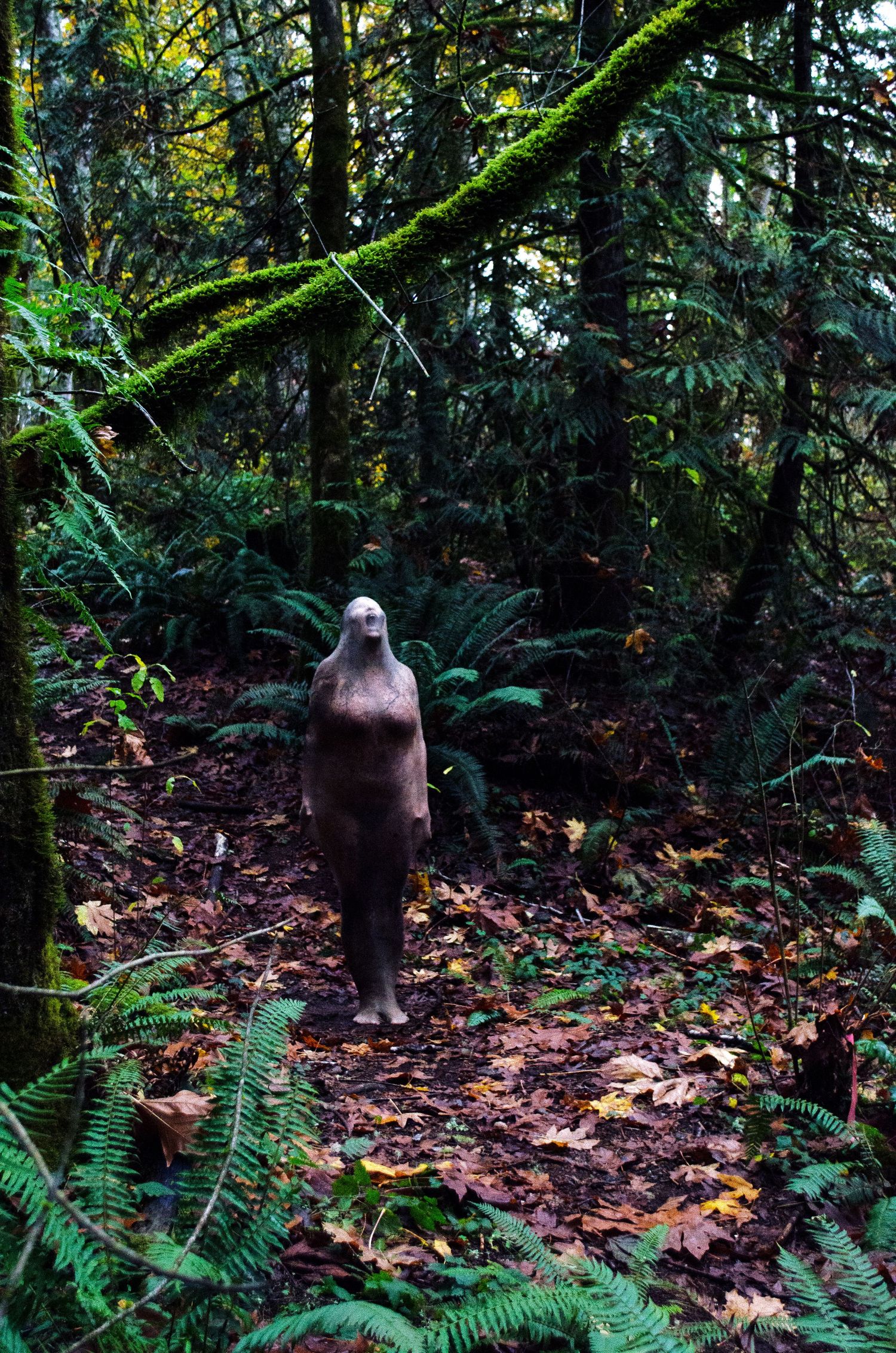 Photo of breaking out of the shell to reconnect with our raw forms in mother nature.