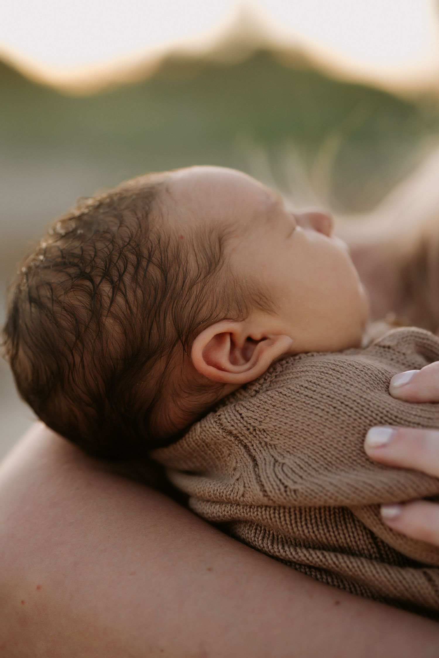 A sleeping baby wearing a brown knit sweater rests peacefully in soft natural lighting.