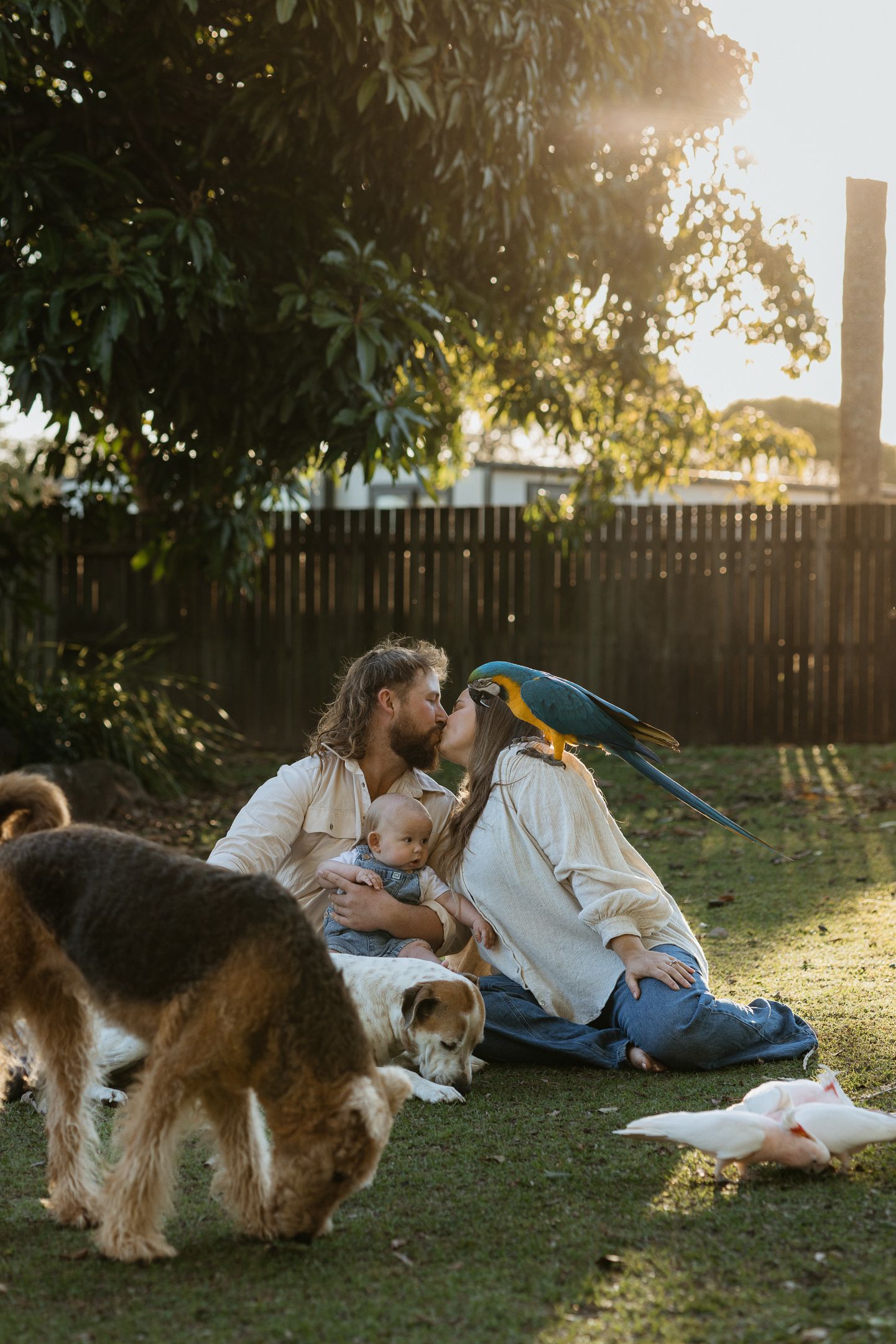 Person relaxes in backyard with dogs and blue macaw parrot during golden sunset light.