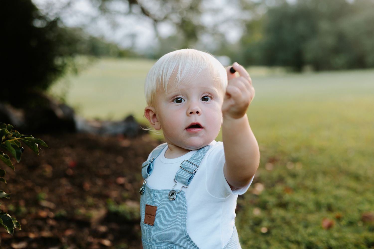Adorable blonde toddler in denim overalls reaching out in a lush green park setting.