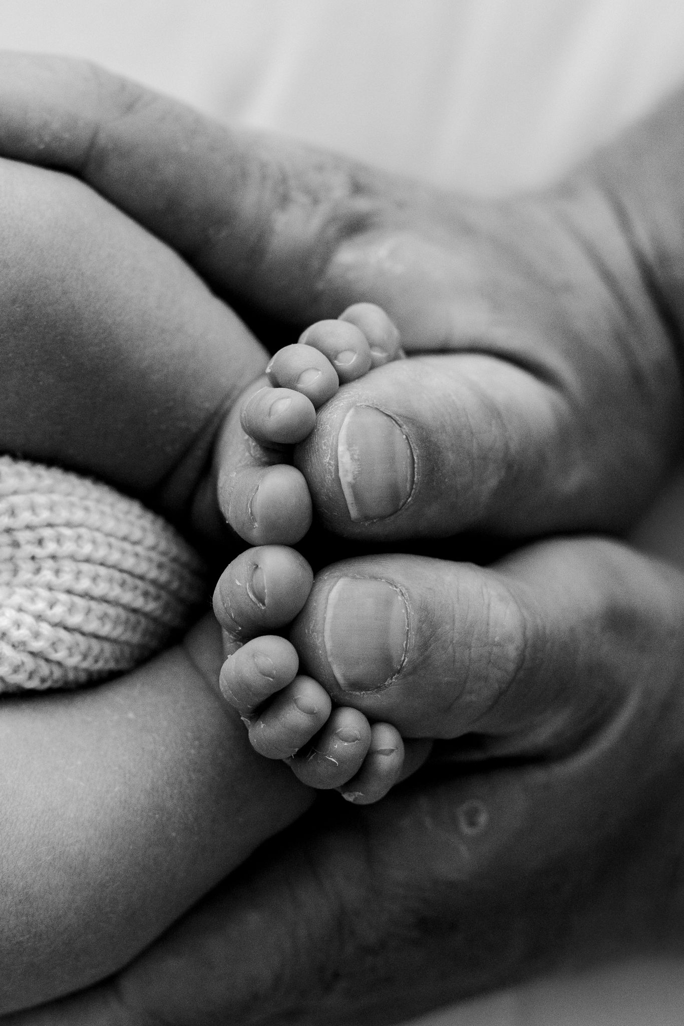Black and white photo of tiny newborn baby feet cradled gently in adult hands.