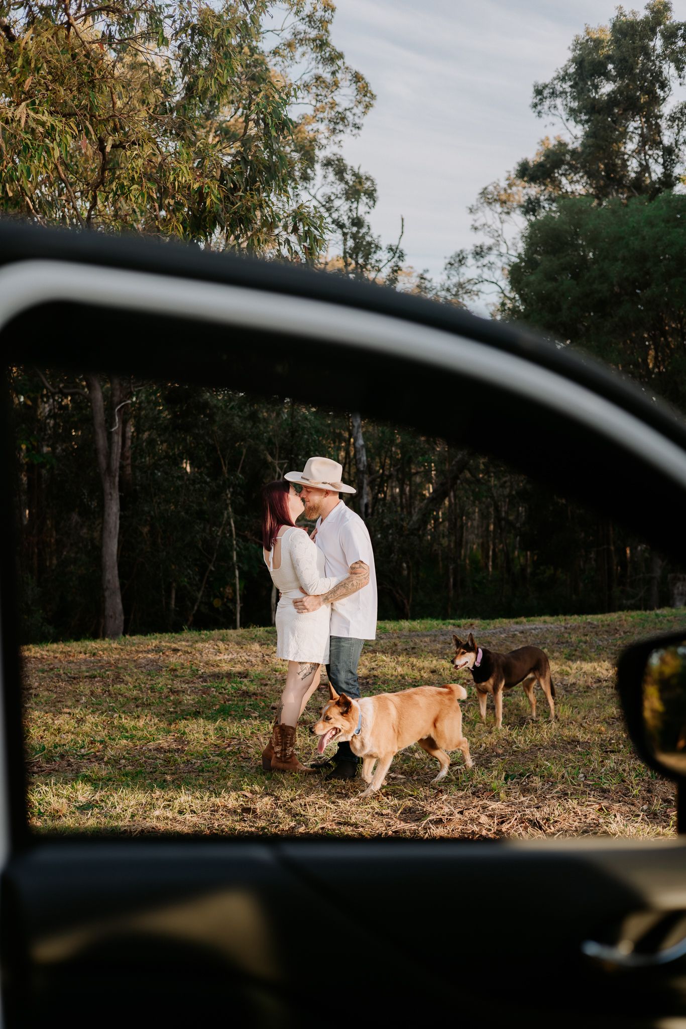Couple kissing outdoors with two dogs, framed through car window, surrounded by eucalyptus trees in golden light.
