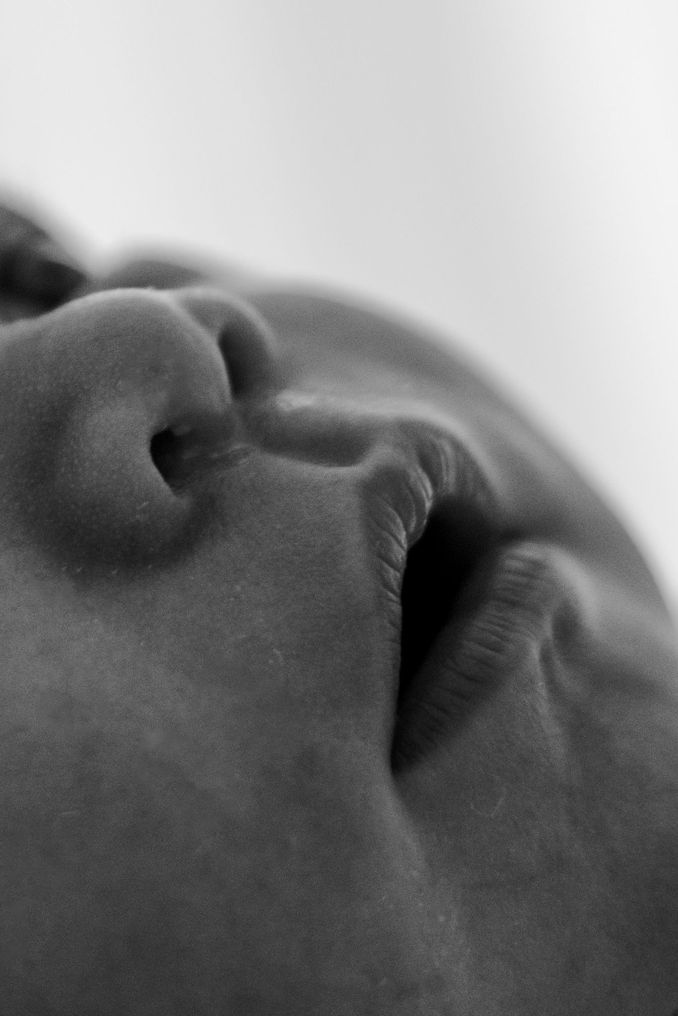 Close-up black and white portrait of a person's face tilted back, highlighting nose and lips in dramatic shadow.