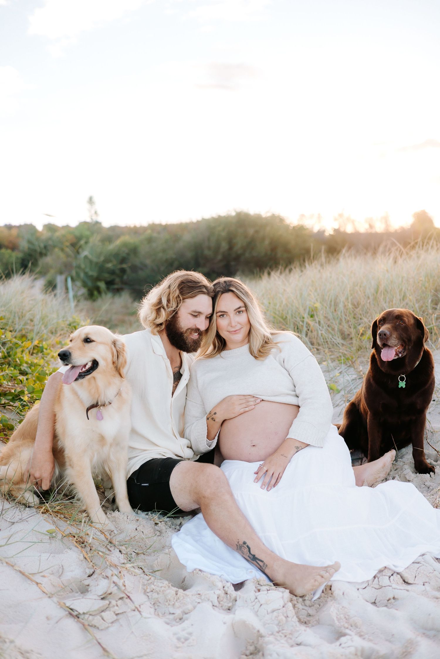 Pregnant couple sitting on sandy beach with golden retriever and chocolate lab dogs at golden hour sunset.