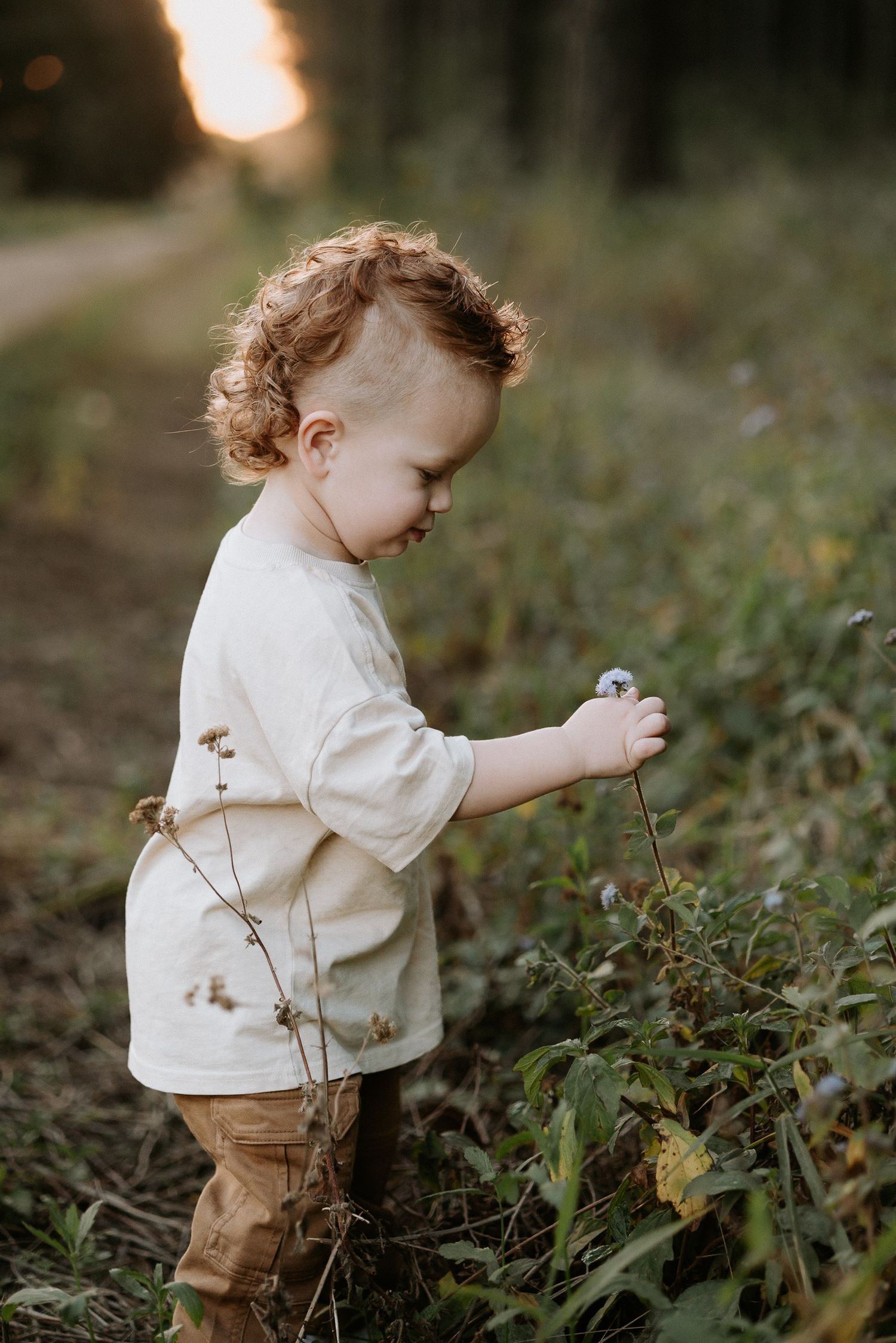 Toddler with curly hair in beige shirt and brown pants picking a dandelion in a lush green forest at golden hour.