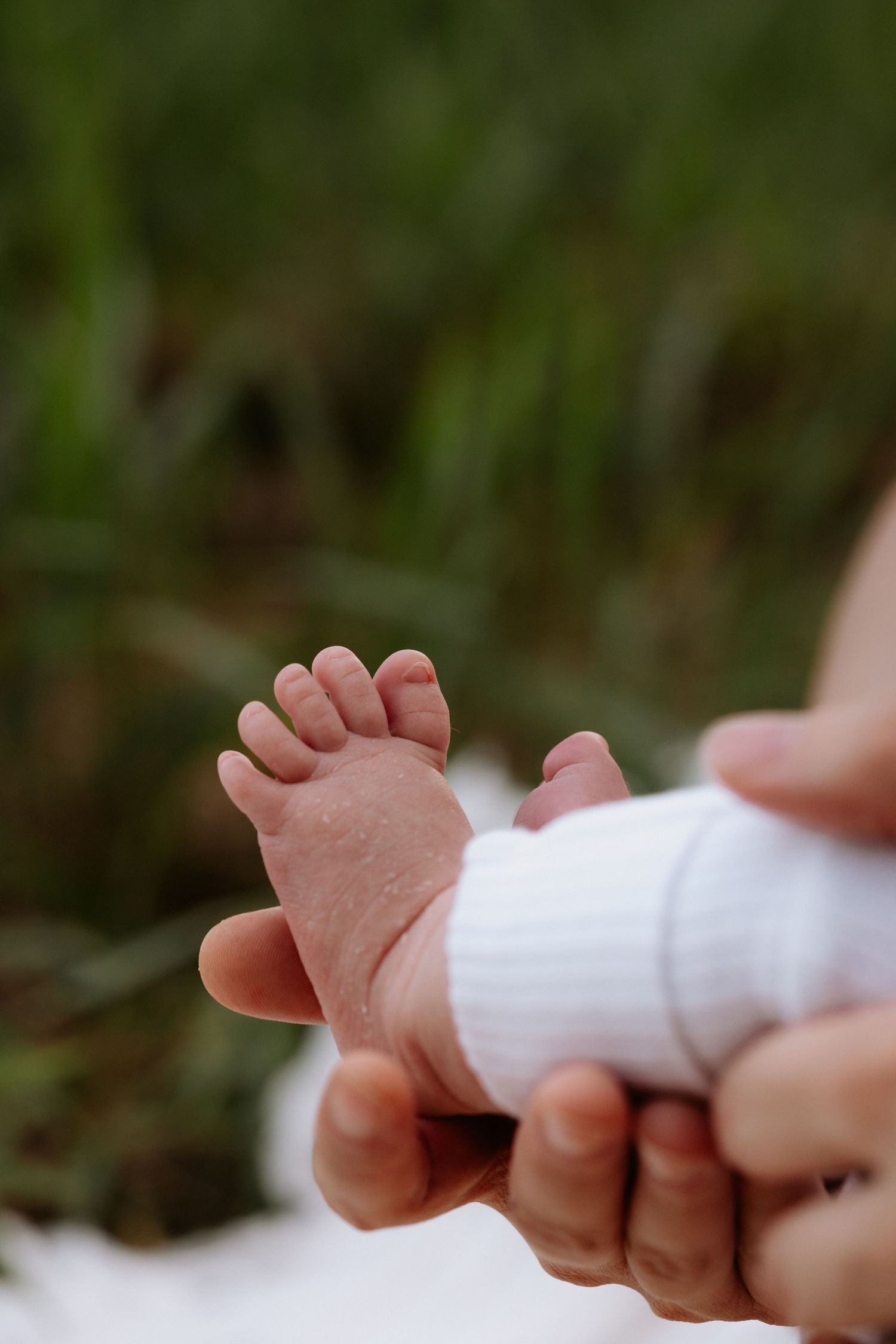 A series of close-up shots showing tiny baby feet and toes against a soft blurred green background.