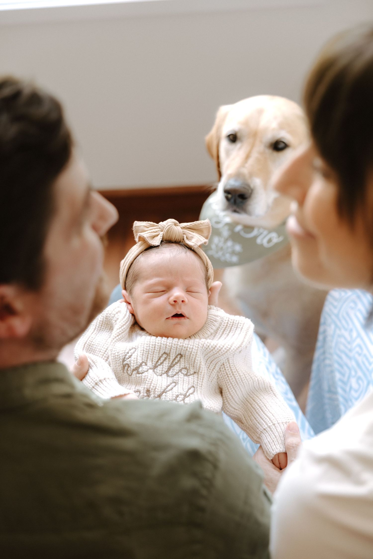 A sleeping baby in a white sweater with a bow headband is watched by family members and a curious yellow Labrador dog.