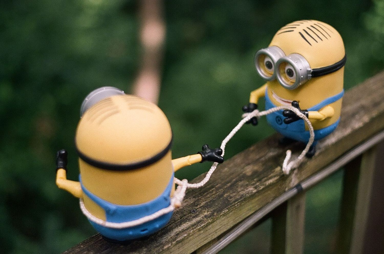 two minions on a ledge