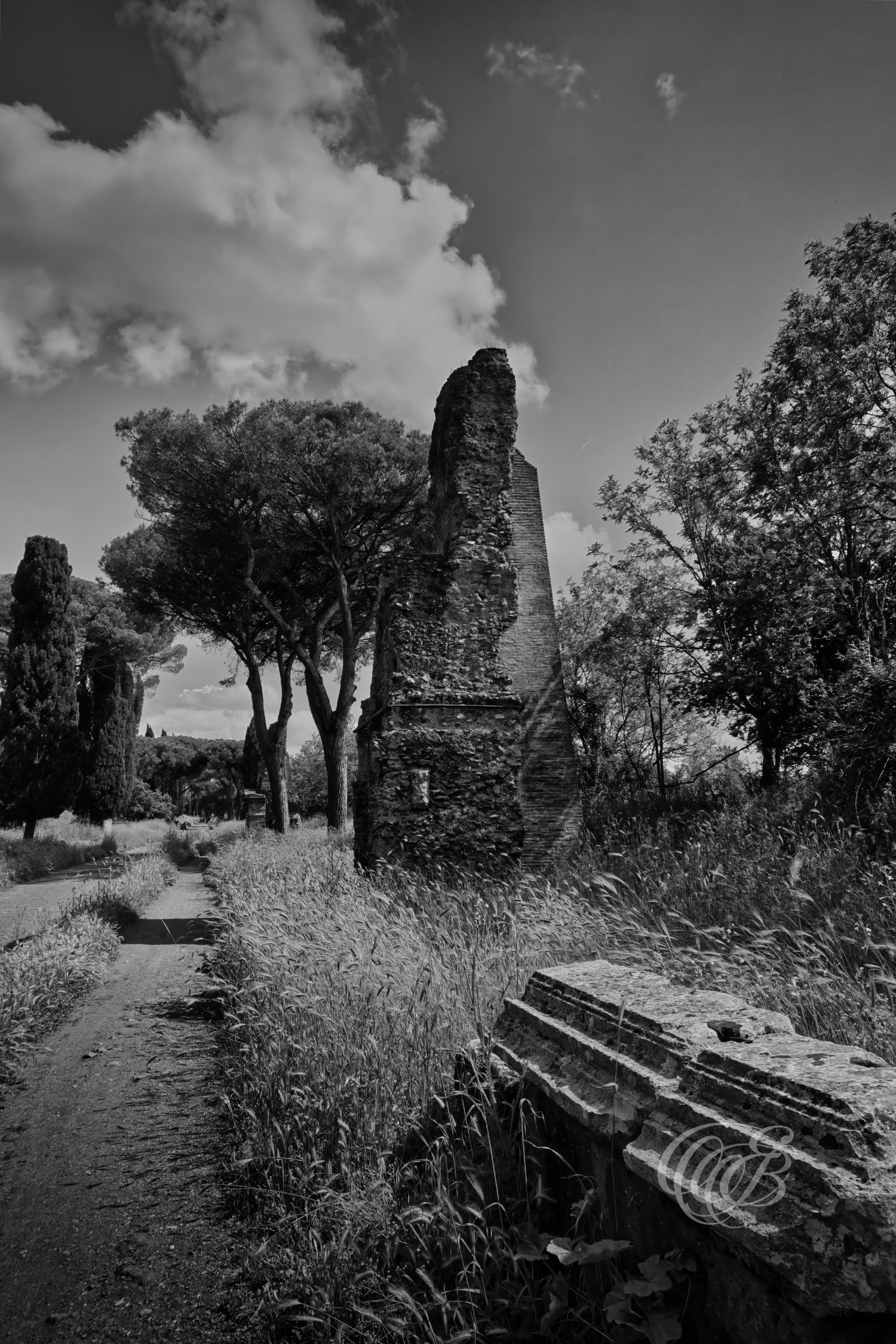Italy – Via Appia Antica - Rome – black and white photo of the ancient Roman road with stone paving, by Eduardo Bartoli