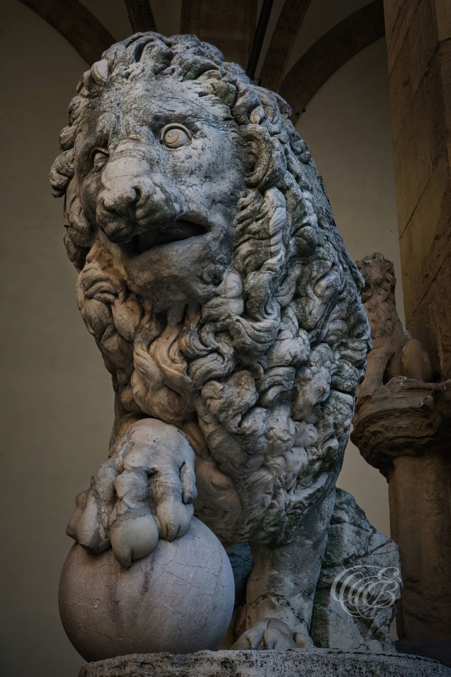 Italy – Medici lions statues - Florence – marble lions in Piazza della Signoria, photo by Eduardo Bartoli