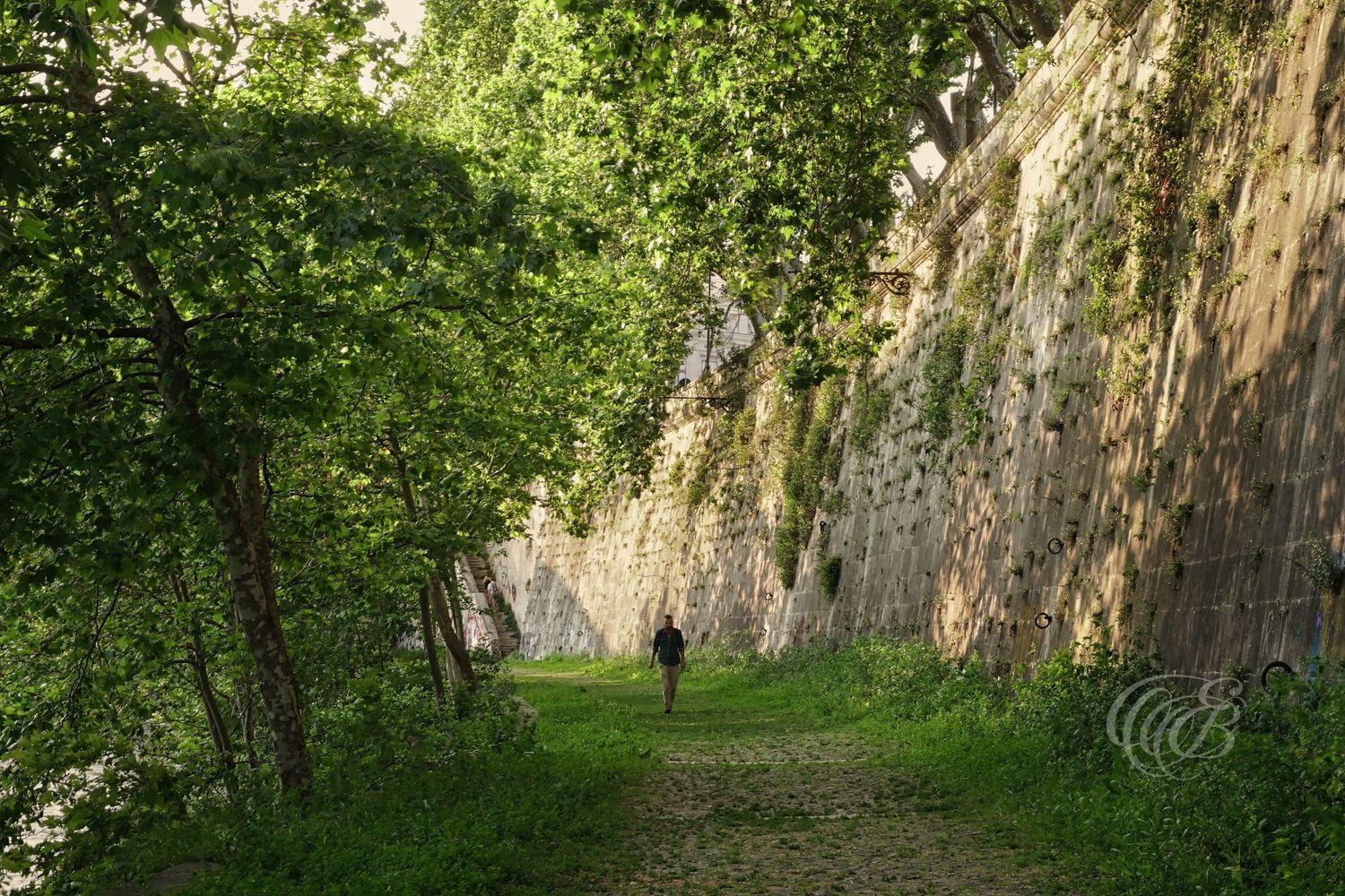 Italy – Tiber riverbanks in summer - Rome – view of the river and historic stone embankments, photo by Eduardo Bartoli