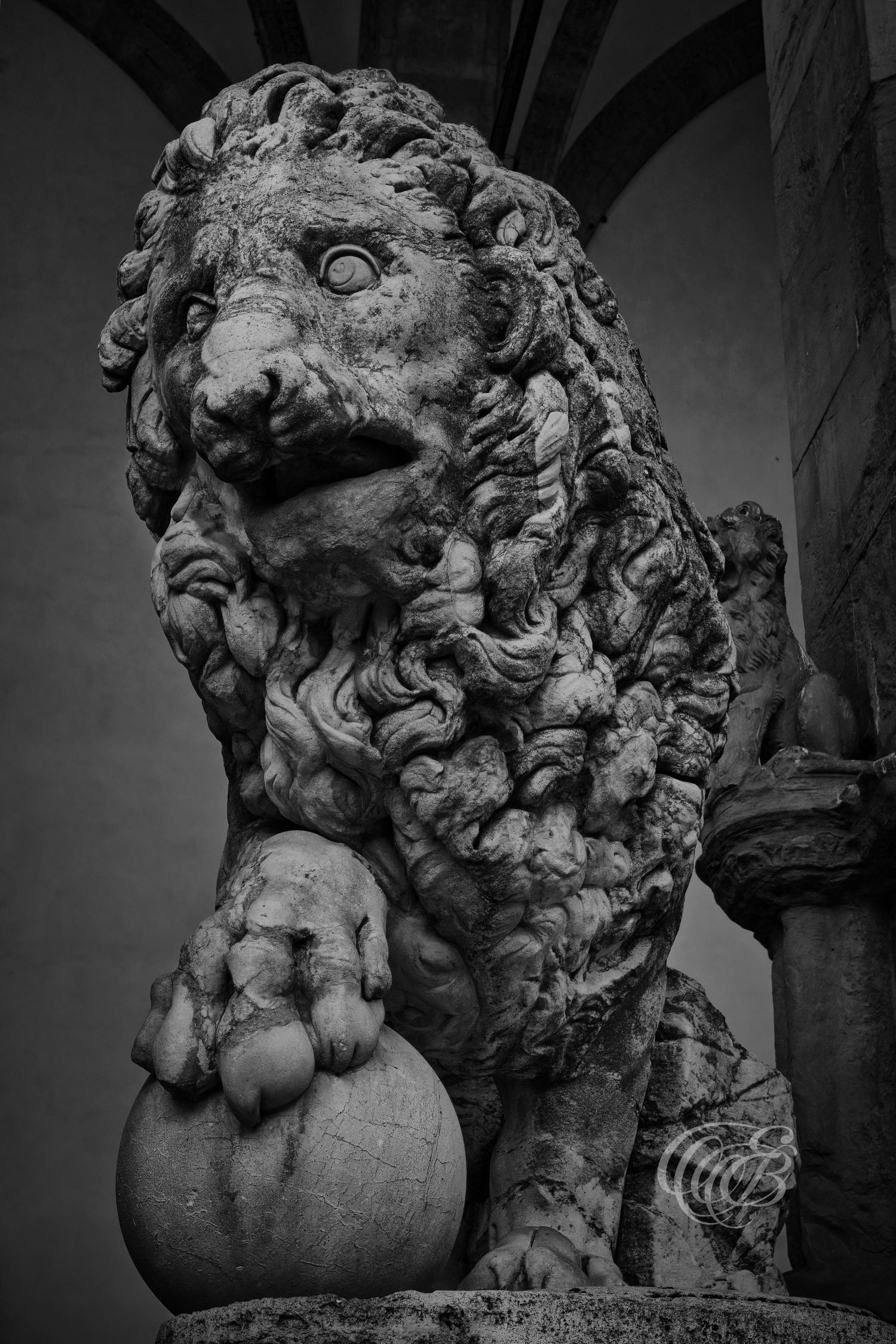 Italy – Medici lions statues - Florence – black and white photo of the marble lions in Piazza della Signoria, by Eduardo Bartoli
