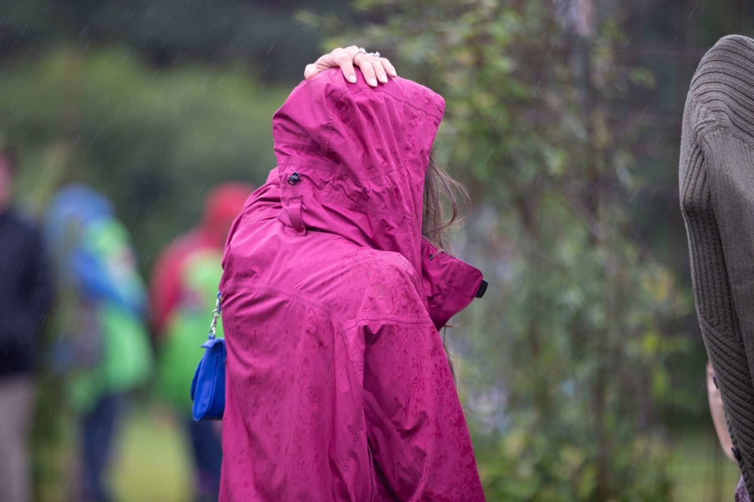 Person in bright pink rain jacket walking through lush green foliage on a misty day.