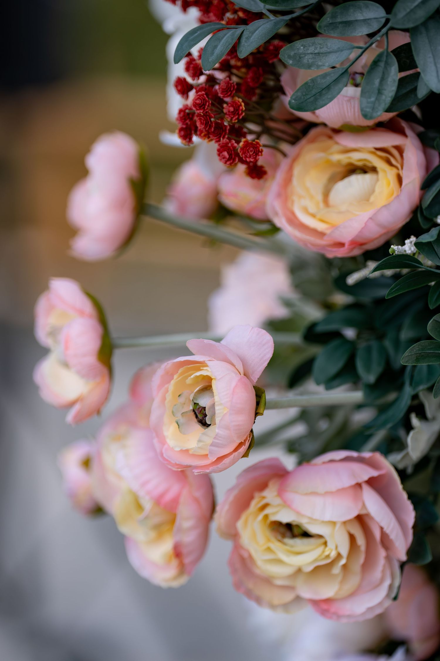 Close-up of delicate pink and peach roses with dark green foliage.