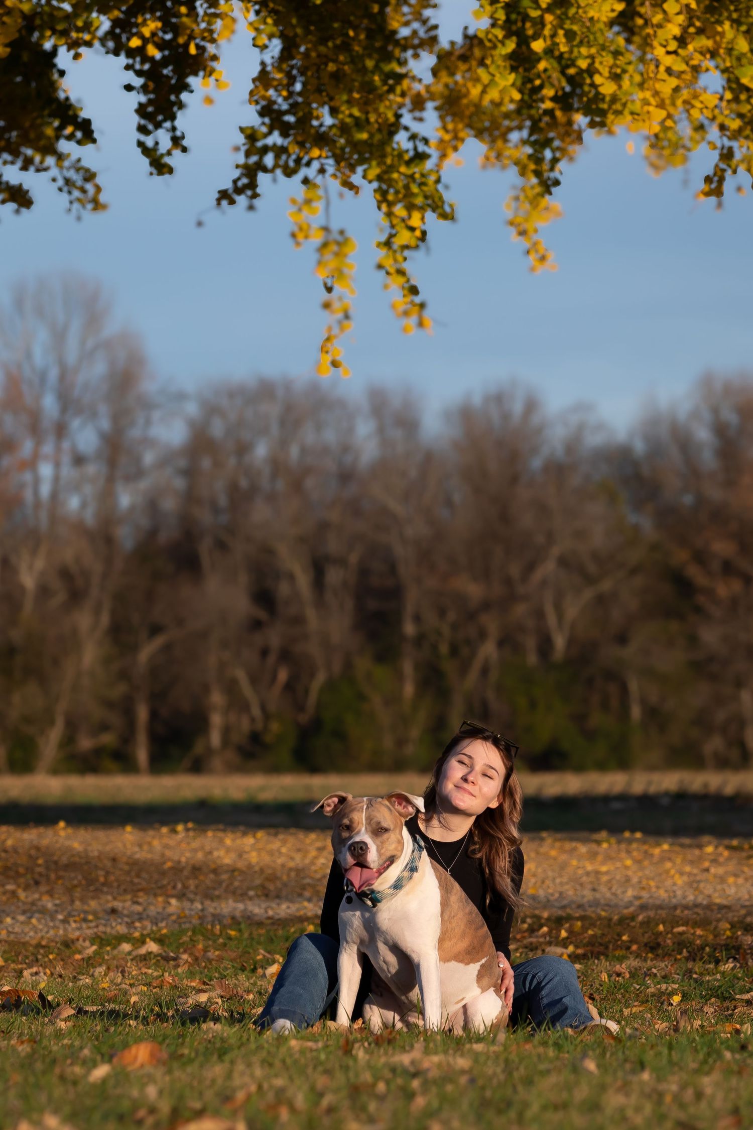 Person relaxing in fallen leaves with two dogs during golden hour.