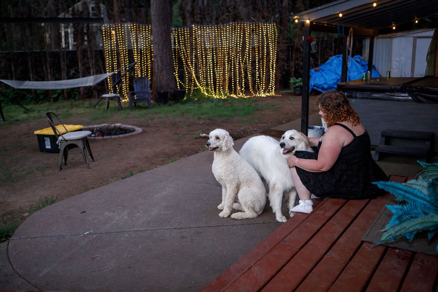 White dog lounges on wooden deck at sunset.