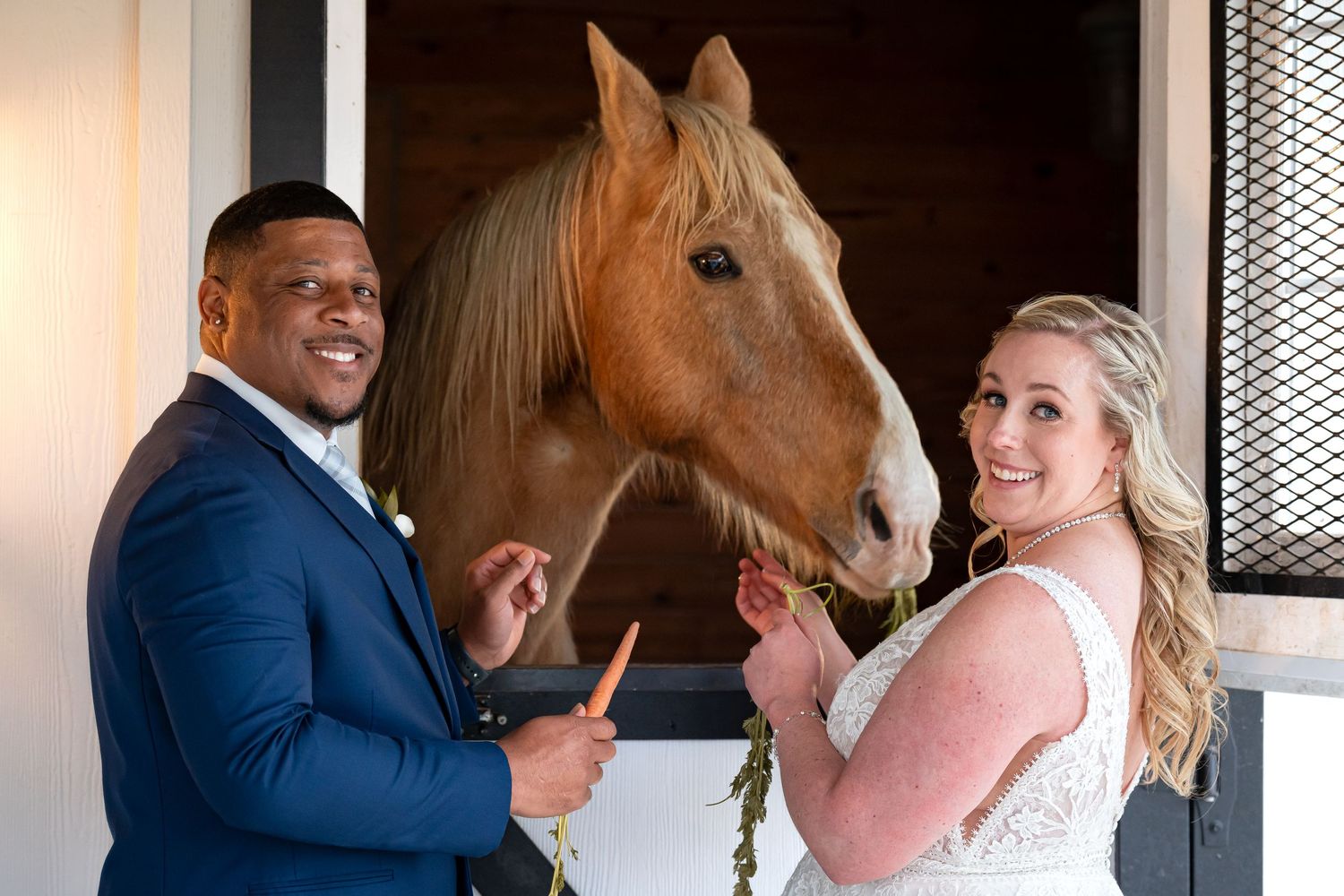A wedding photoshoot featuring a beautiful brown horse in a stable setting.