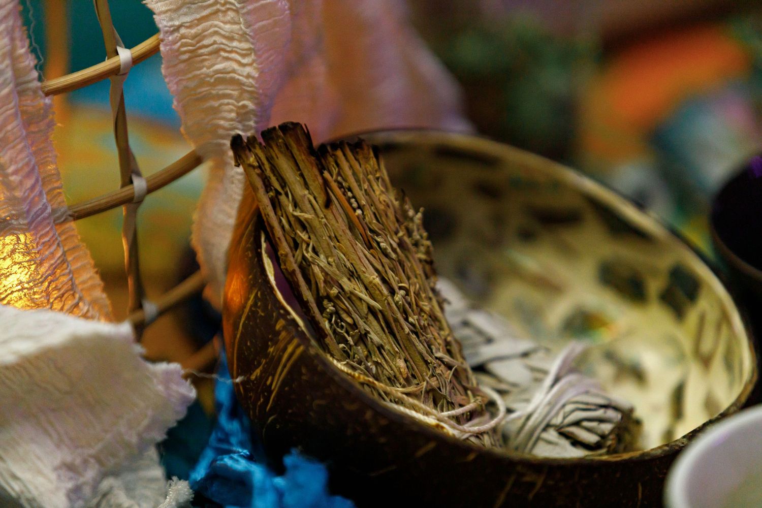 Close-up macro shot of dried herbs and botanical elements.