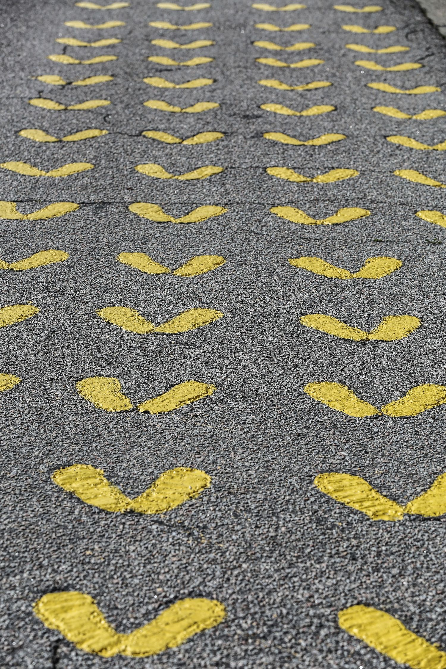 Pattern of yellow USMC painted footprint markers on gray concrete surface at Parris Island, SC.