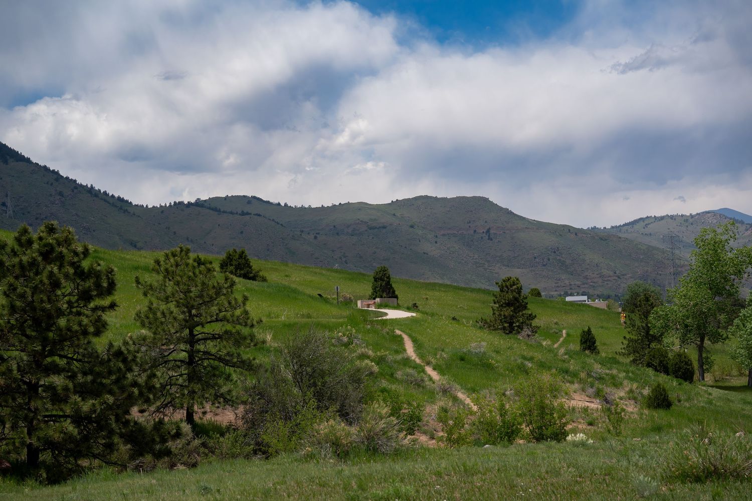 Winding dirt path leads up green hillside with mountains and scattered pine trees in background.