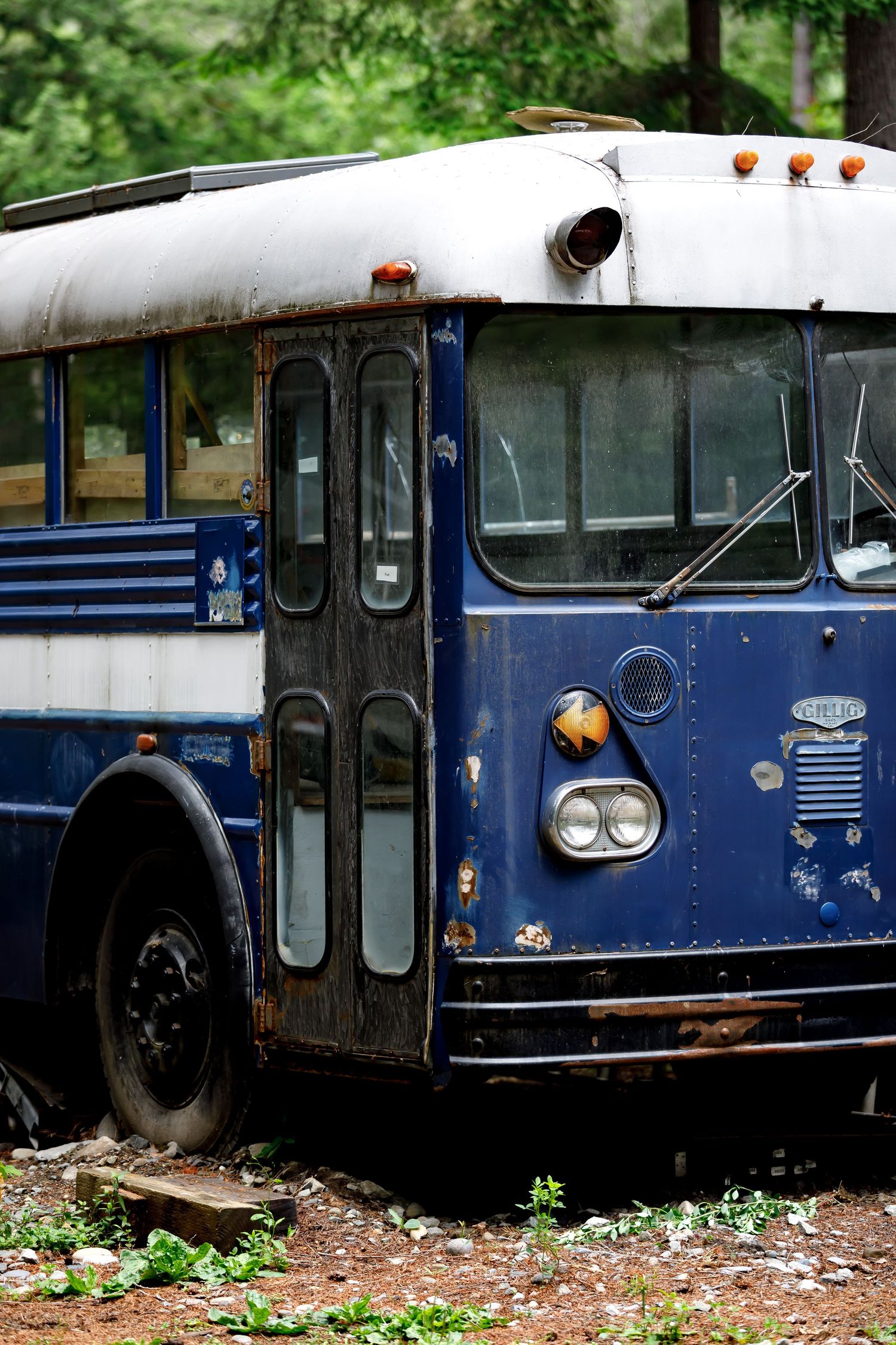 Row of abandoned vintage blue buses in an outdoor setting surrounded by vegetation.