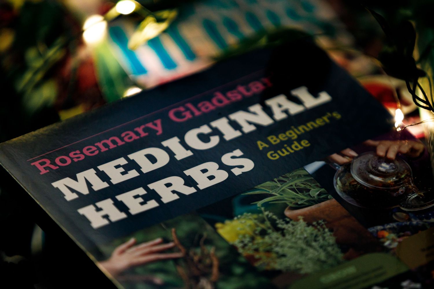 Collection of herbal and medicinal books arranged in dim lighting.