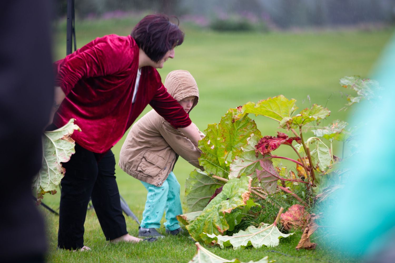 People in colorful jackets gather around garden plants on a misty day.