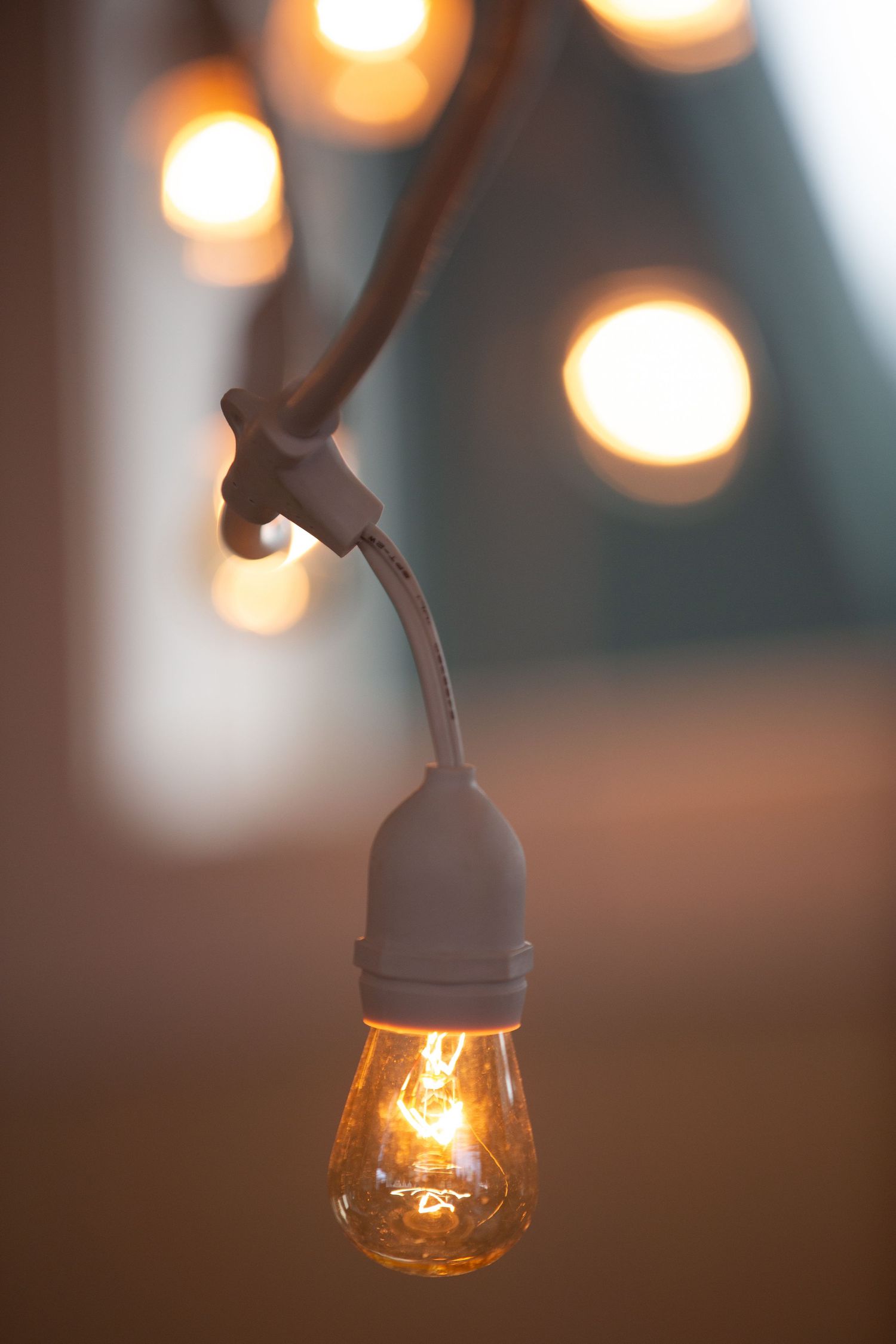 String of glowing Edison bulbs creates warm ambient lighting at dusk.