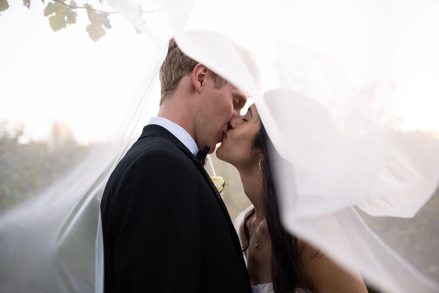 A romantic wedding moment captured with flowing veil against a soft background.