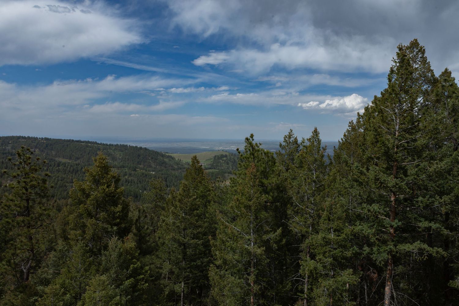 Scenic mountain landscape view with pine trees and cloudy blue sky.