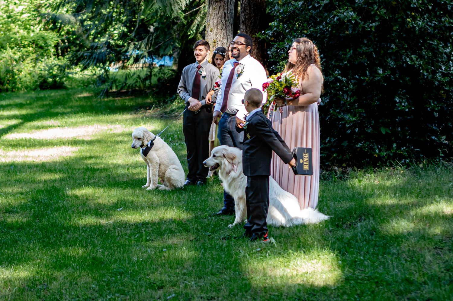 Wedding party and guests assembled on a green lawn surrounded by tall trees.