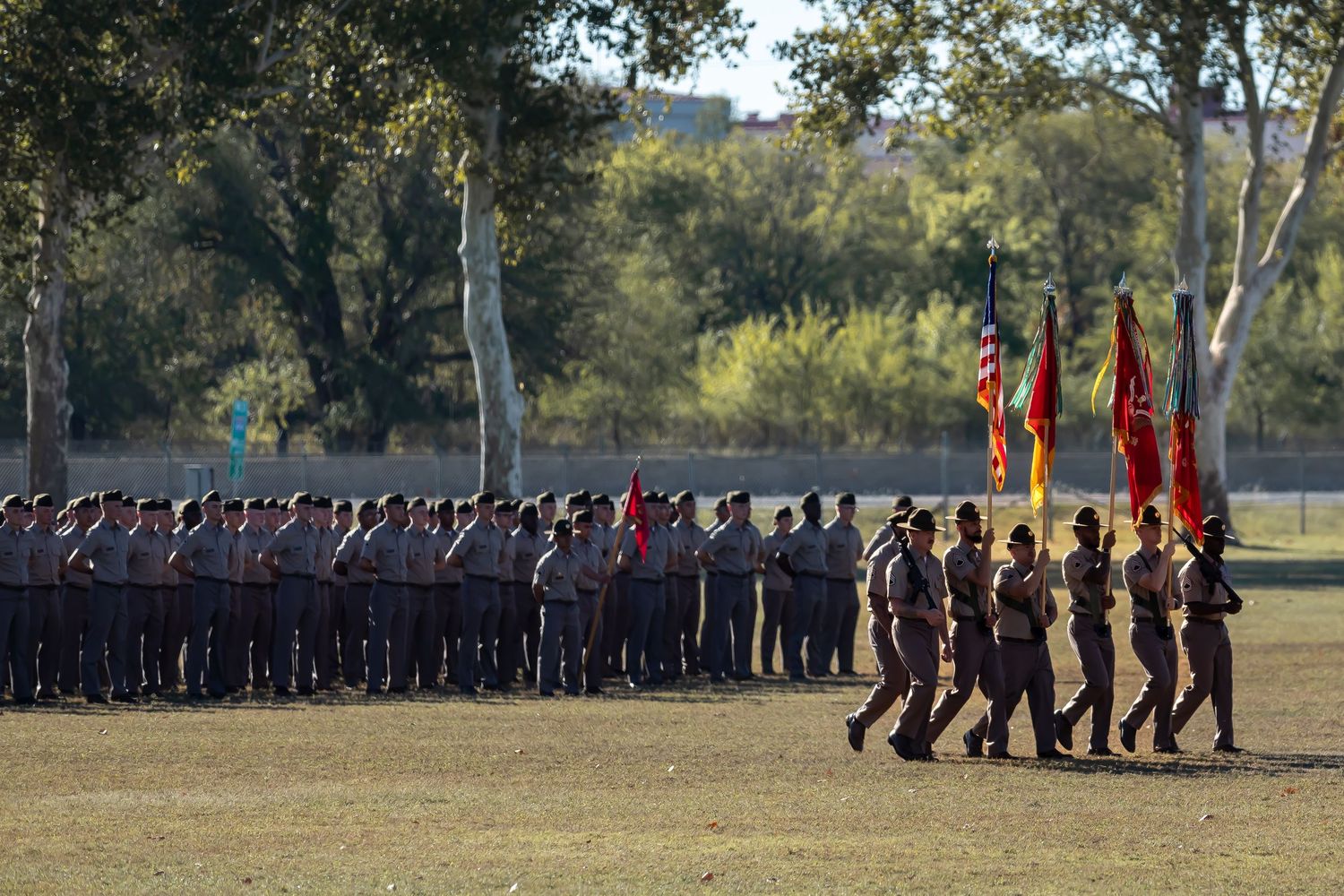 Large formation of military personnel standing in organized rows on parade grounds.
