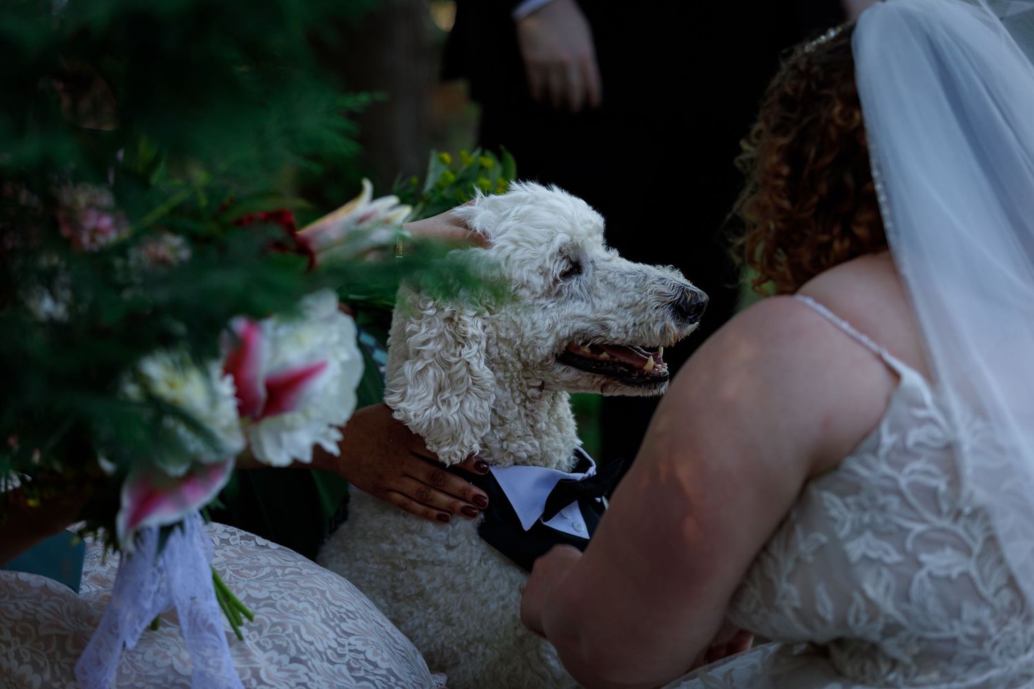 Close-up details of white lace wedding dress outdoors.