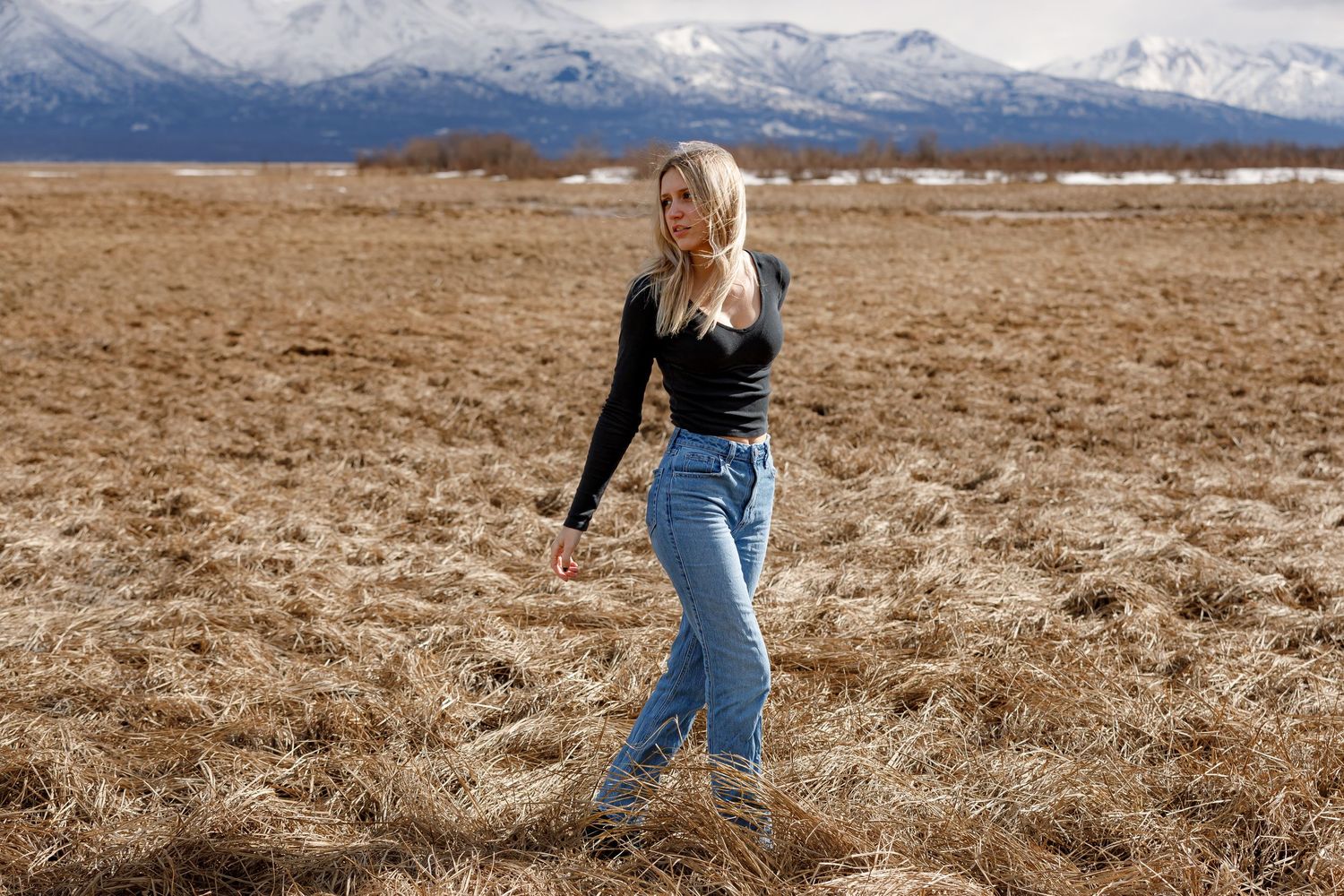 A scenic landscape with snow-capped mountains in the background and brown fields in the foreground.