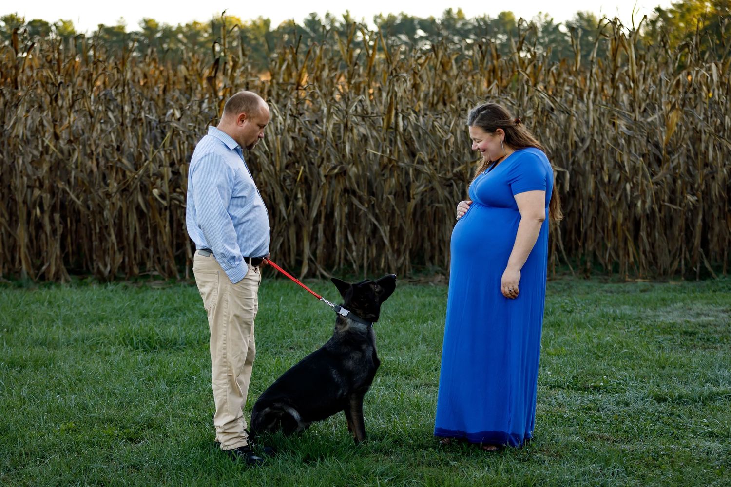 Outdoor photo session near a cornfield at golden hour.