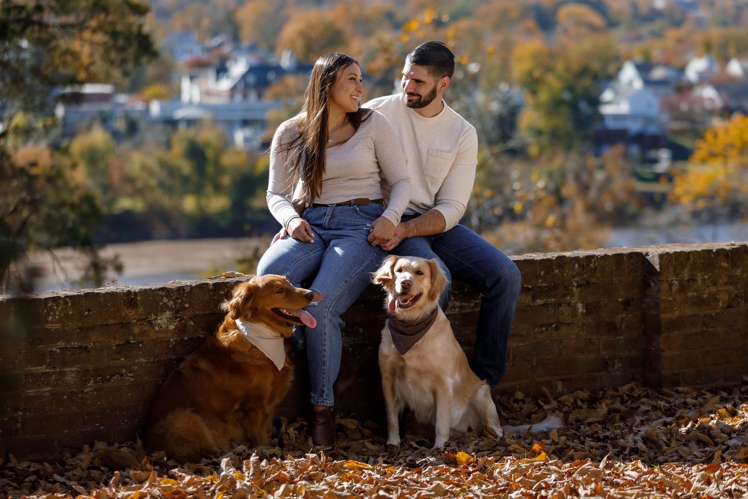 Autumn photography session with pets among fallen leaves and city views.