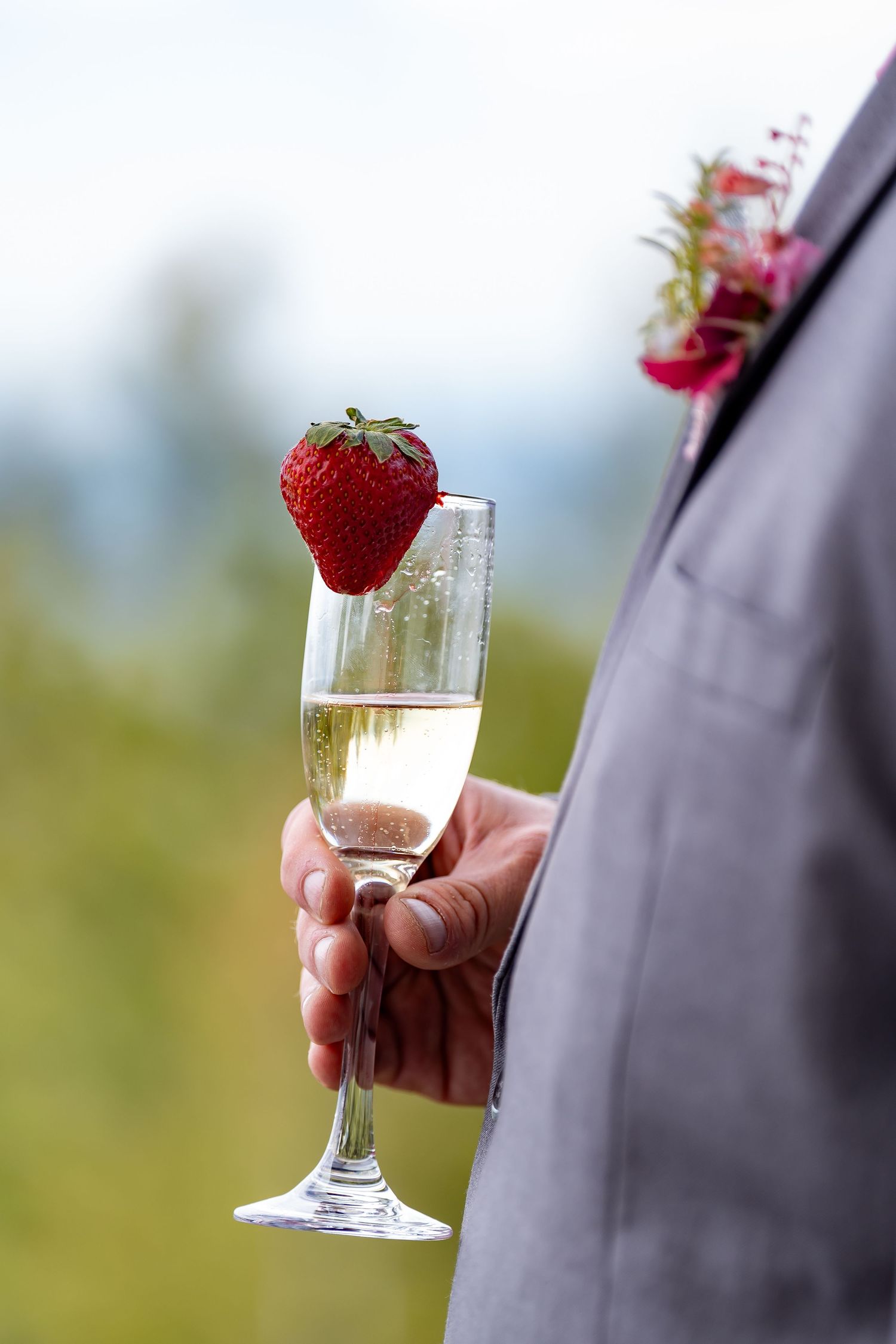 Champagne glasses with strawberry garnishes being held at an outdoor event.