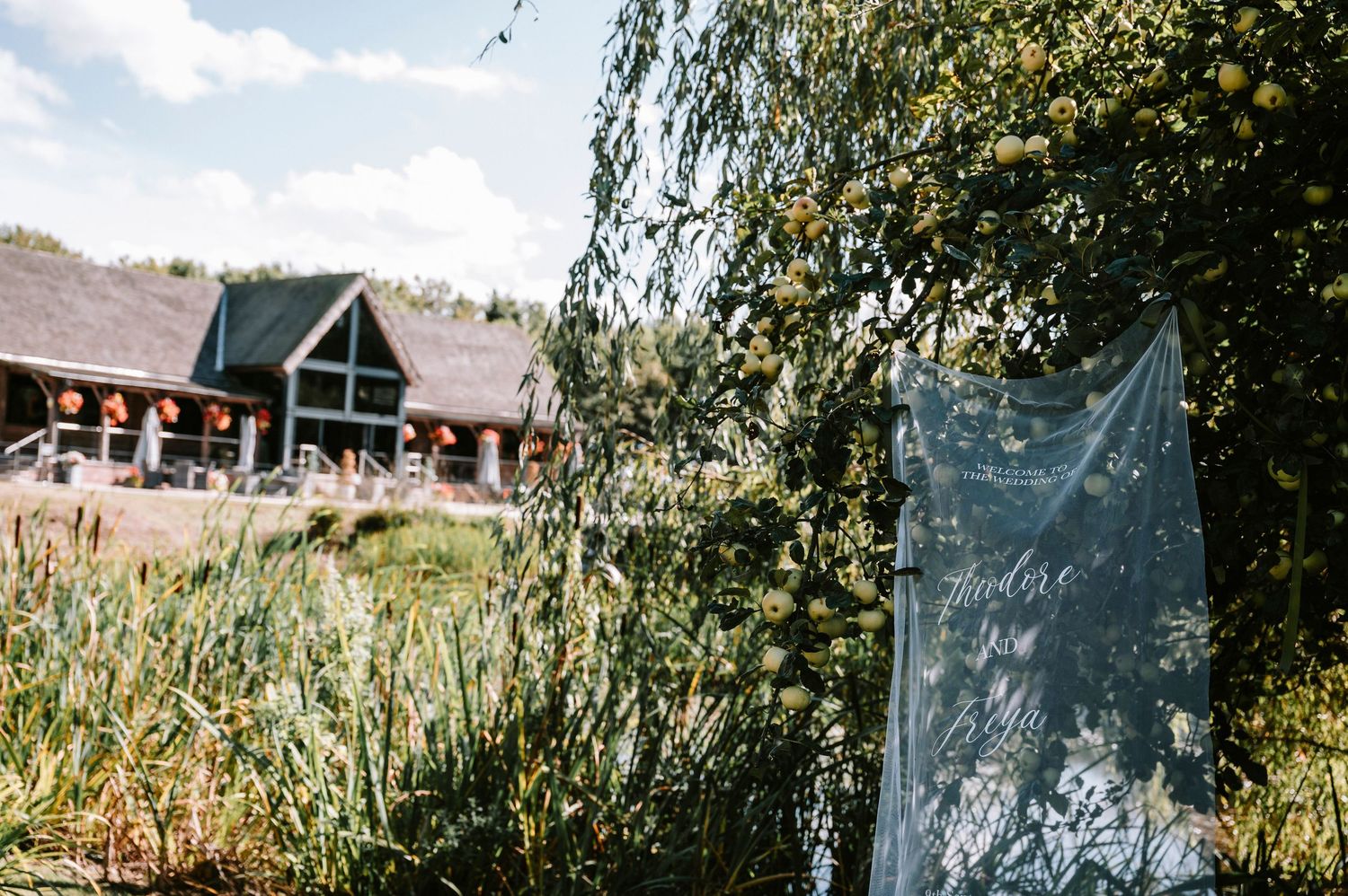 A rustic wooden cabin sits nestled among trees and greenery in a peaceful mountain setting.