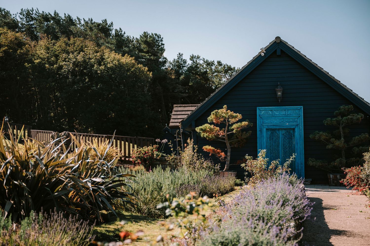 Row of charming blue beach huts with colorful wildflowers and coastal plants along a seaside path.