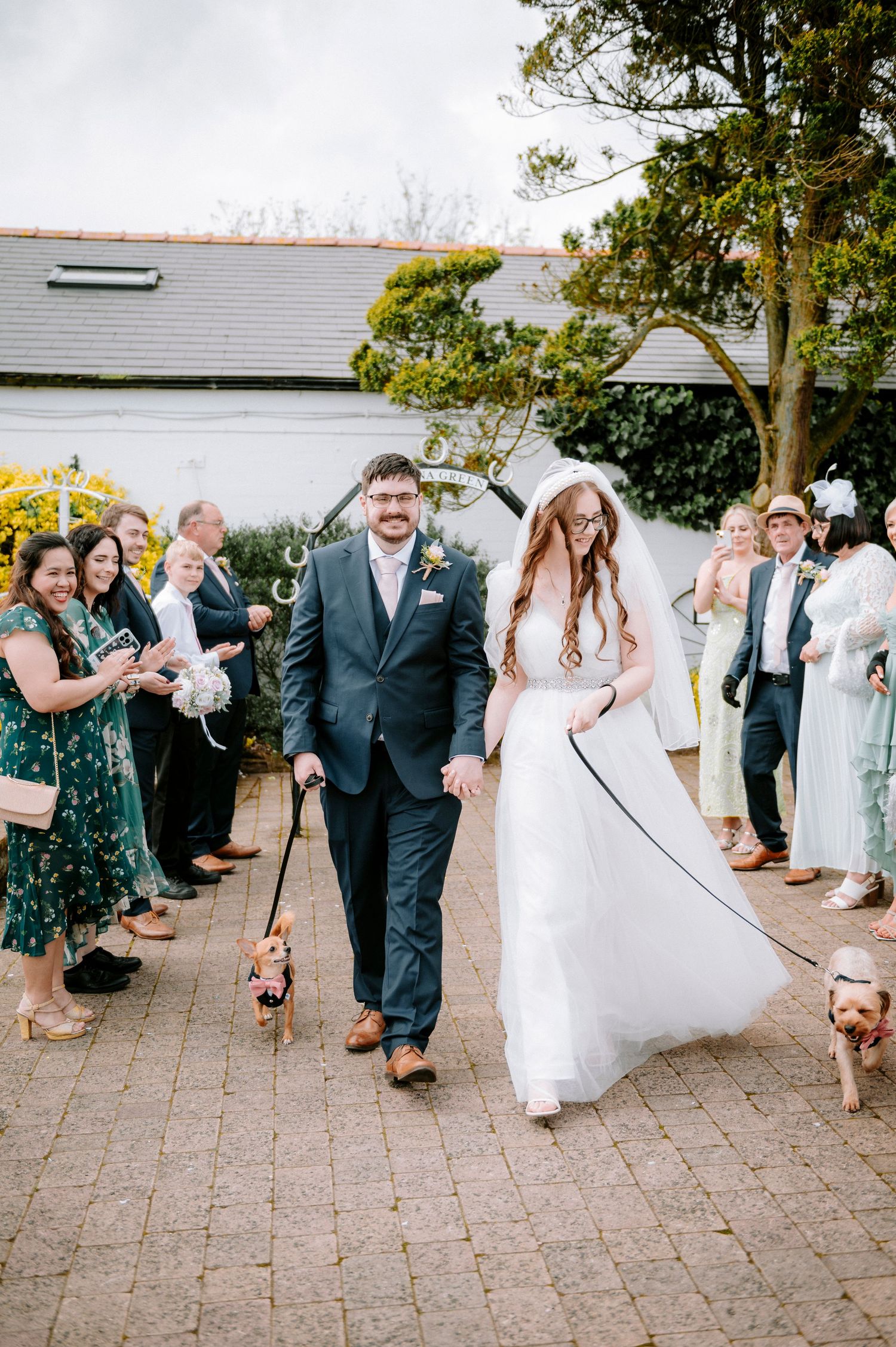 Wedding party walking outdoors with small dogs on leashes.