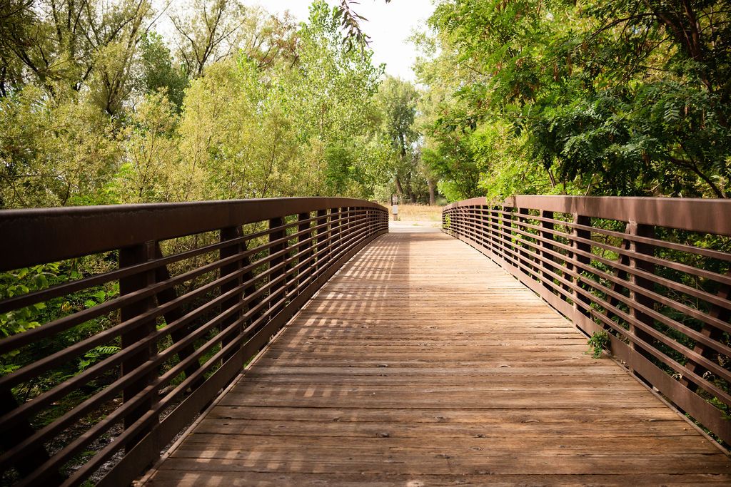 An iconic wooden footbridge over the water at Golden Ponds, perfect for family and wedding portrait sessions with views of the Front Range.