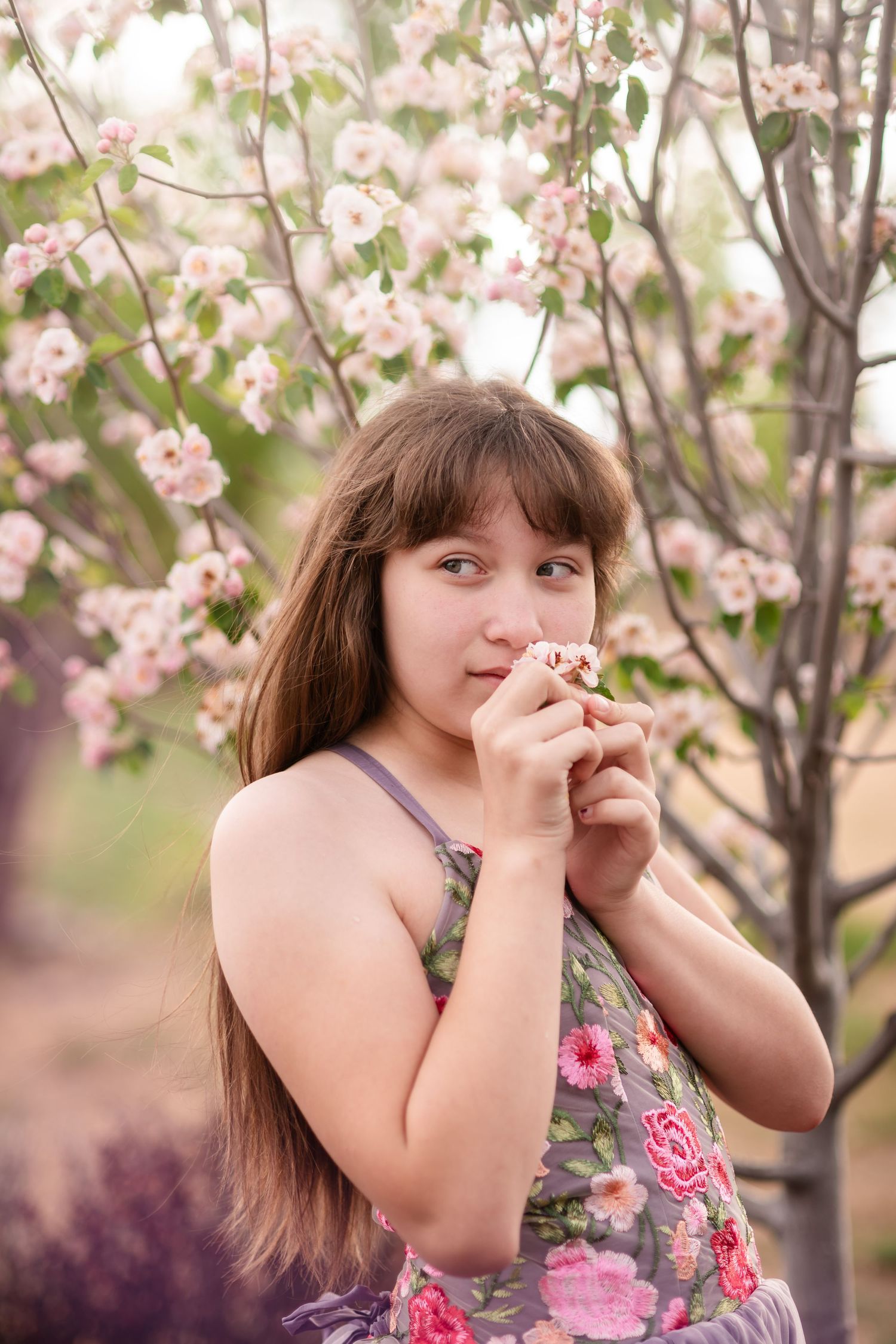 Close-up fine art photography, a child poses smelling a cherry blossom in spring with a couture dress, an elegant, dreamy portrait Longmont
