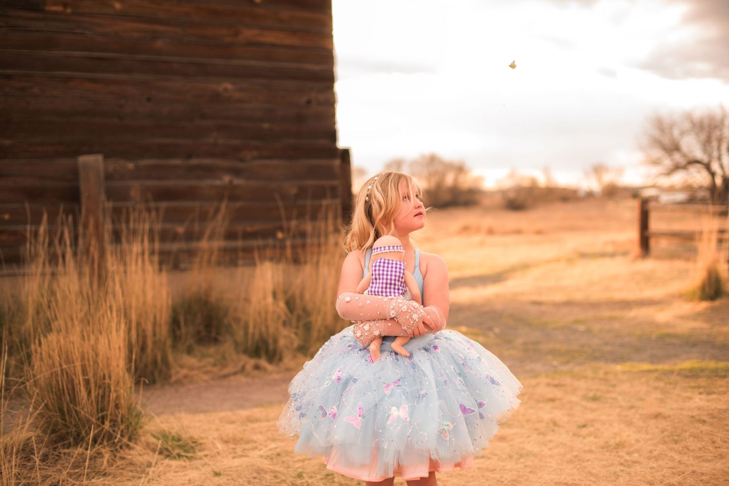 Fine art photography session enchanted butterflies child wearing a couture dress, looking up at a fantasy theme, Sandstone Ranch Longmont, C