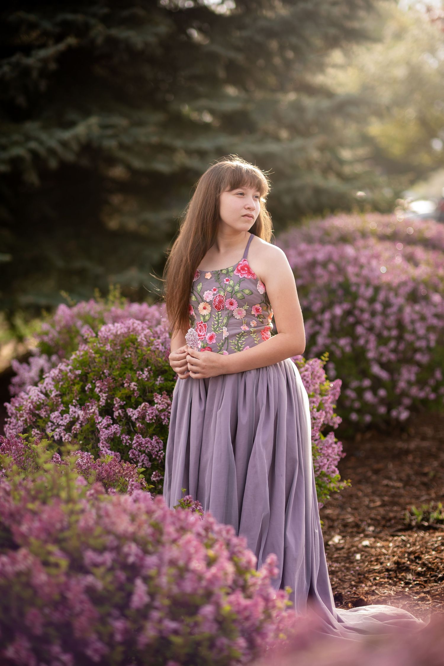 A young girl in a floral embroidered lavender gown stands among blooming purple bushes in a sunlit garden. Fine art photography Longmont