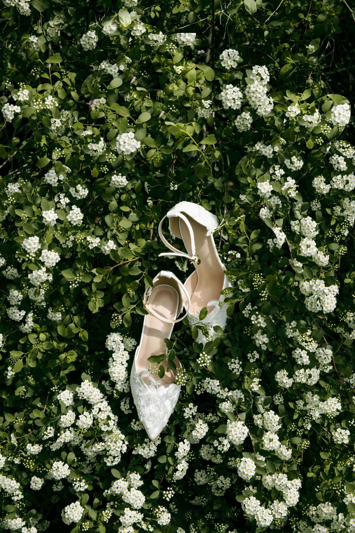 White lace bridal heels with ankle straps resting on lush green bushes covered in delicate white spring flowers.