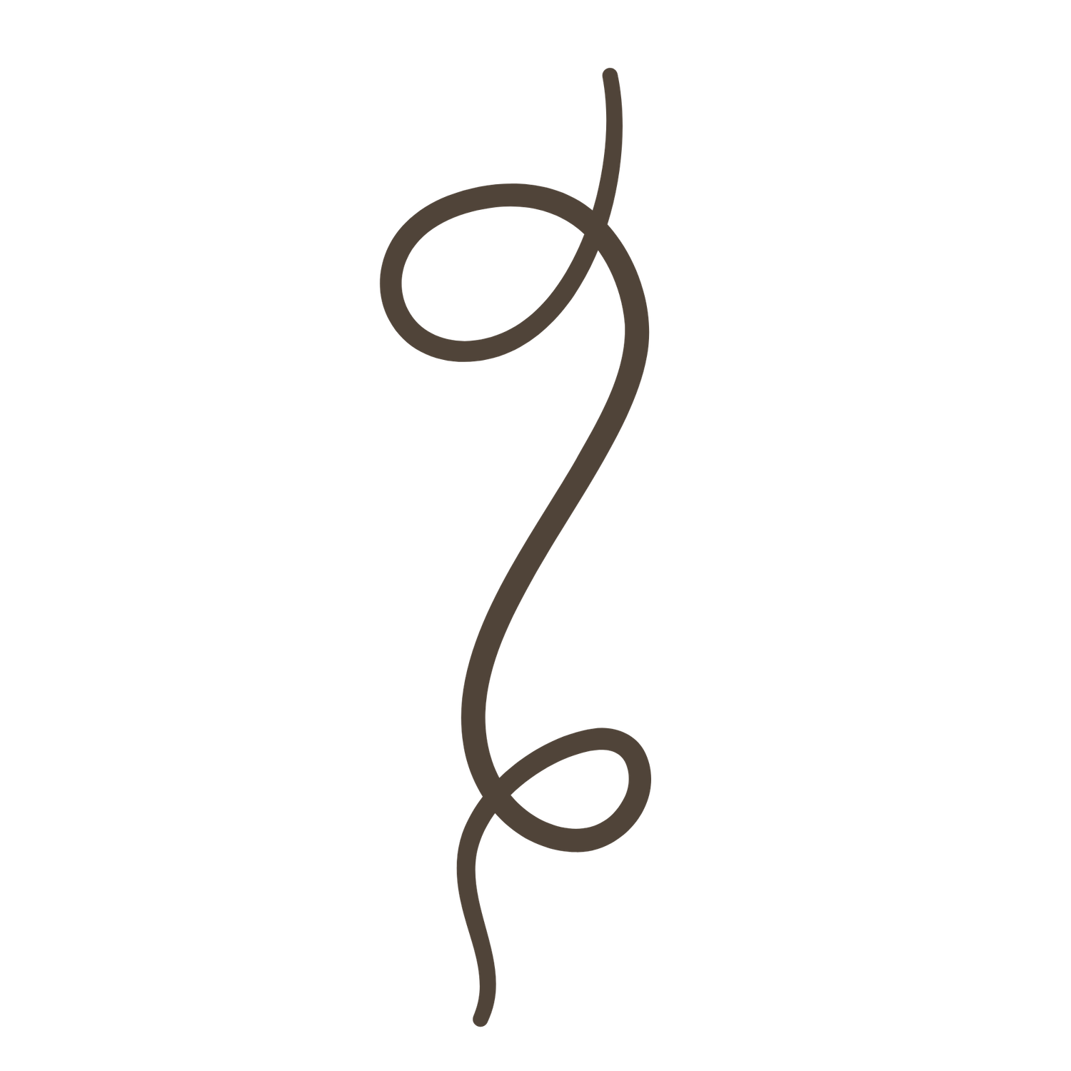 Decorative brown hand-drawn swirl flourish design element with elegant loops on white background.